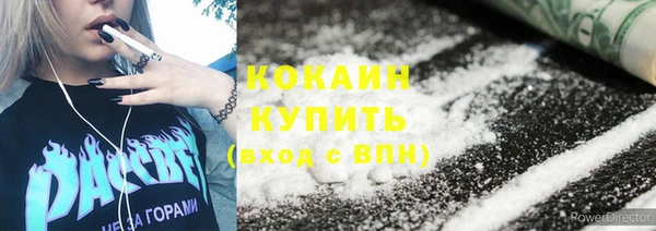 дмт Абаза