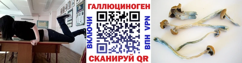 Псилоцибиновые грибы Psilocybine cubensis  Кострома 